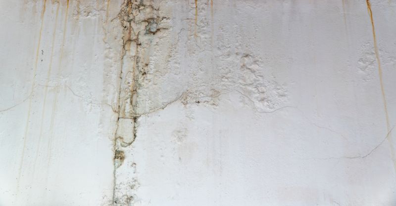 Attic Water Damage Repair in Houston, TX