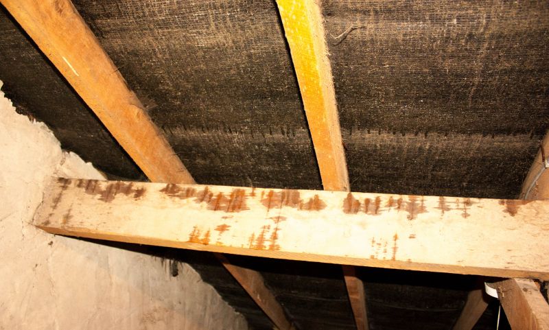 Ceiling Leak Repair Service in Denver County, CO
